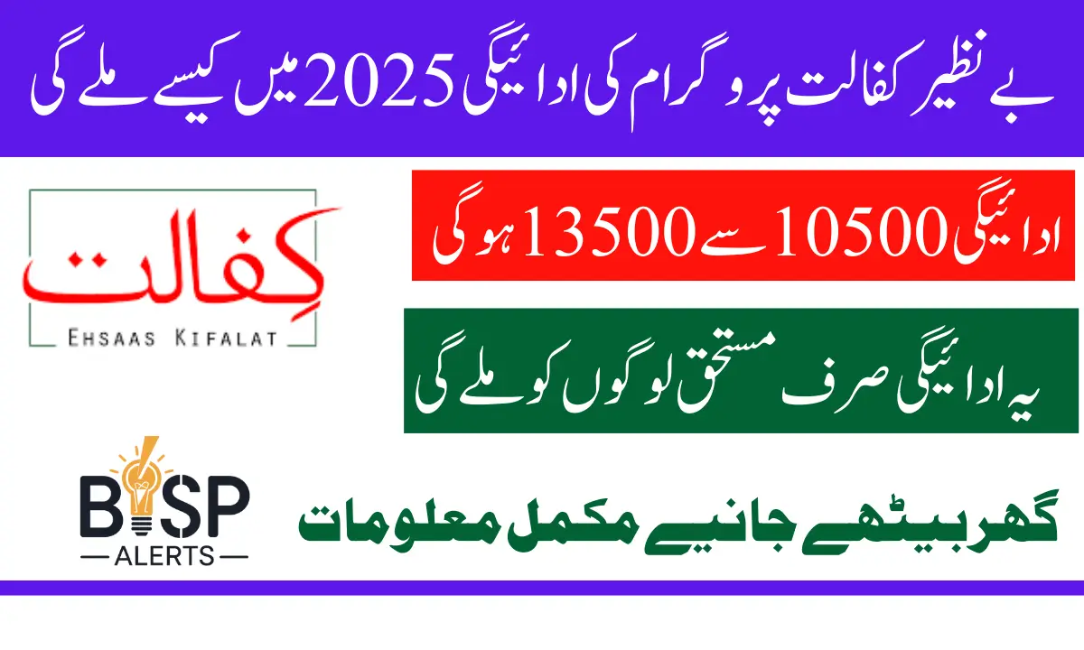 Benazir Kafaalat 13500 Payment Date And Time Will Be ReOrganize In January 2025